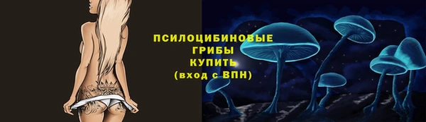 2c-b Снежногорск
