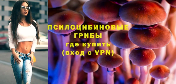 2c-b Снежногорск