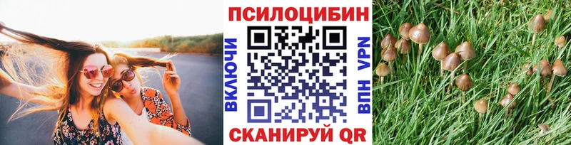 Купить  Сорочинск  Галлюциногенные грибы ЛСД 